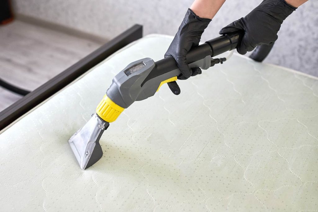 Services & Pricing NoosaSunshine Coast Organic Carpet Cleaning